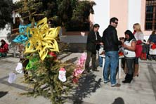 Foto TO&Ntilde;I FRANCO